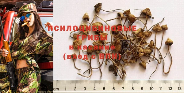 герыч Костерёво