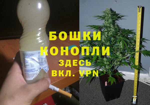 ECSTASY Корсаков